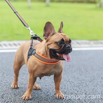 collier et laisse de chien de compagnie de confort en néoprène